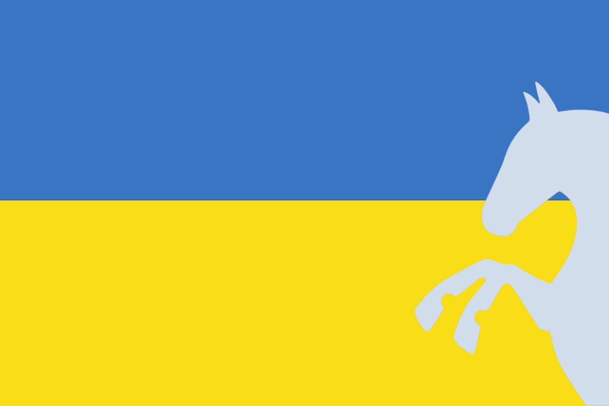 Ukraine Netzwerk