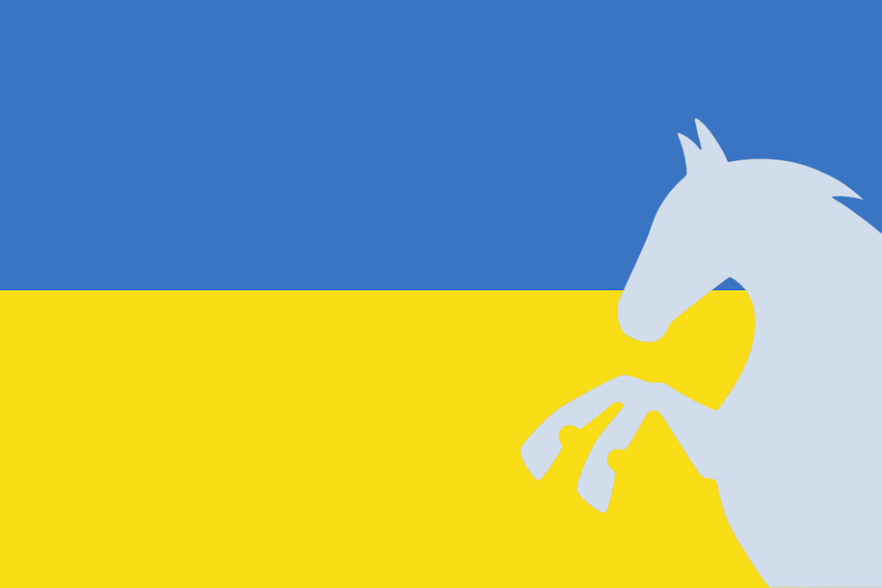 Ukraine Netzwerk